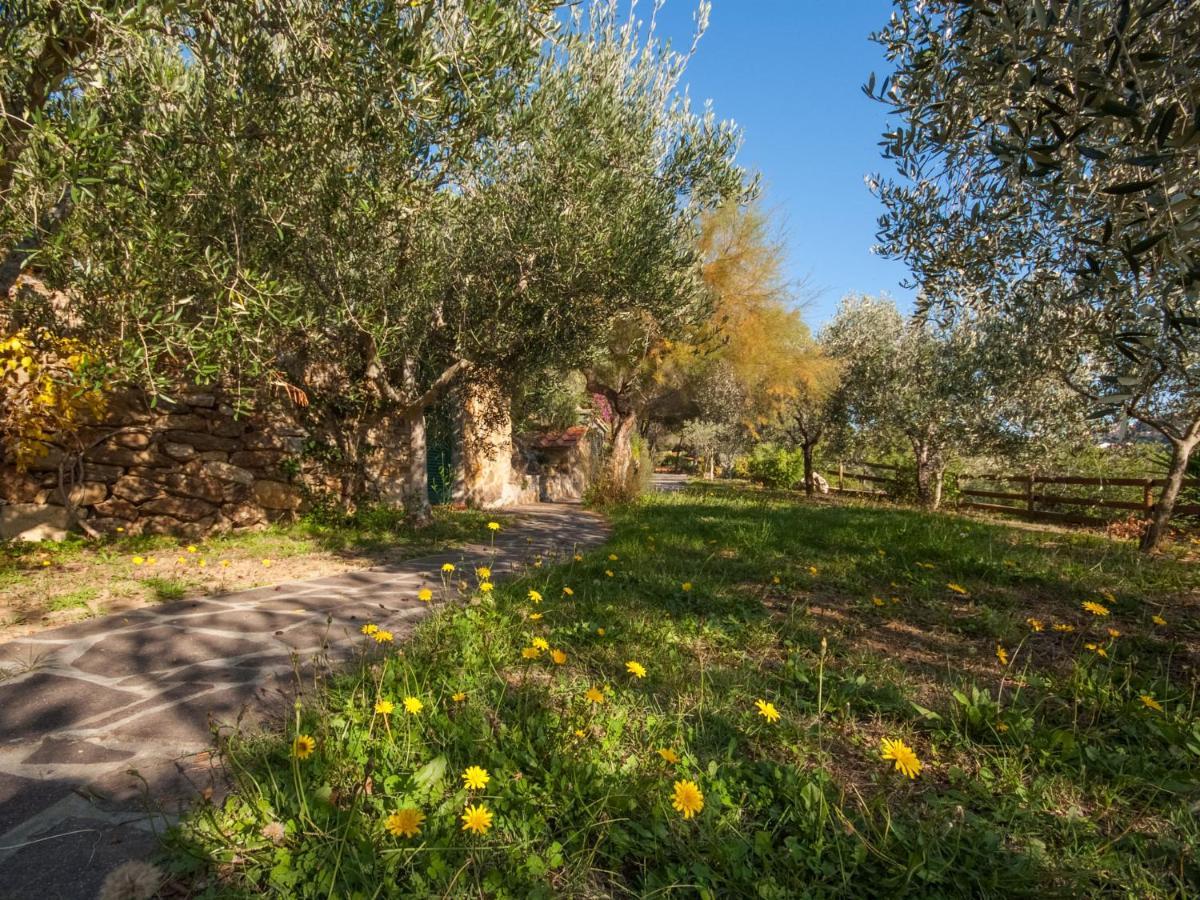 Holiday Home Piccola Oasi-3 By Interhome كابوليفيري المظهر الخارجي الصورة